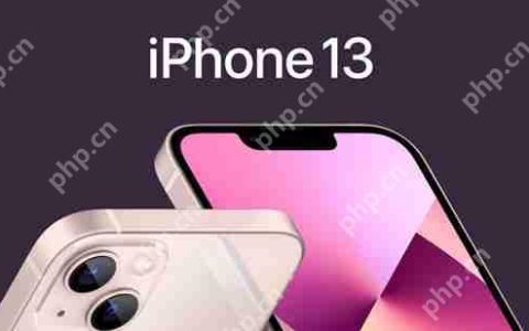 IPhone13全系列参数对比