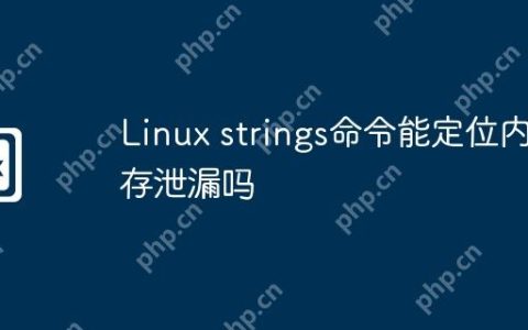Linux strings命令能定位内存泄漏吗