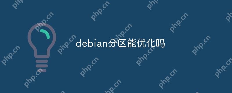 debian分区能优化吗