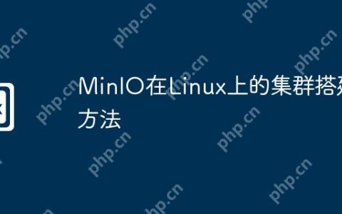 MinIO在Linux上的集群搭建方法