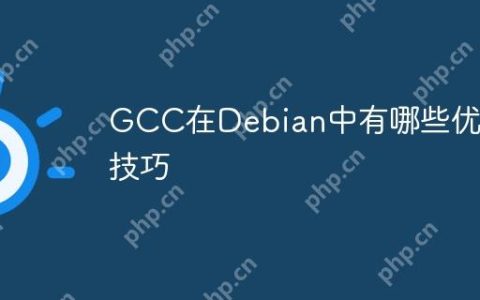 GCC在Debian中有哪些优化技巧