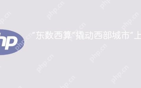 “东数西算”撬动西部城市“上云端”