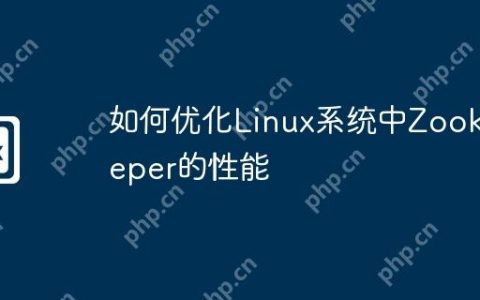 如何优化Linux系统中Zookeeper的性能