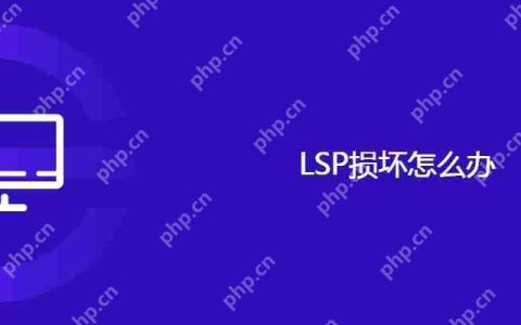 LSP损坏怎么办