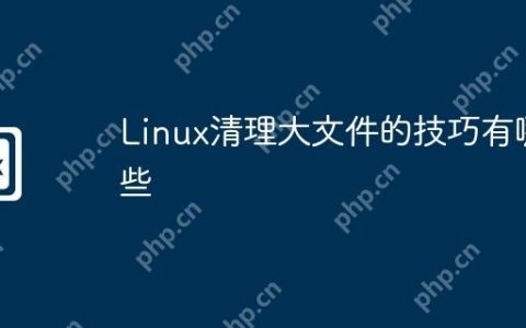 Linux清理大文件的技巧有哪些