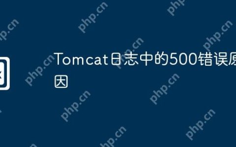 Tomcat日志中的500错误原因