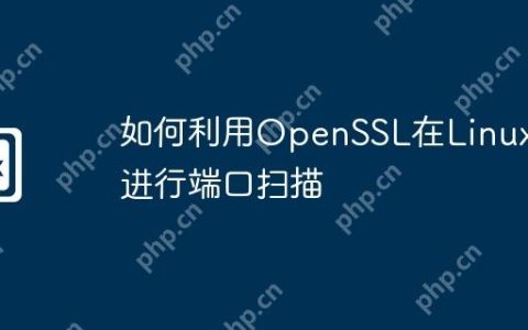 如何利用OpenSSL在Linux上进行端口扫描