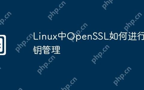 Linux中OpenSSL如何进行密钥管理