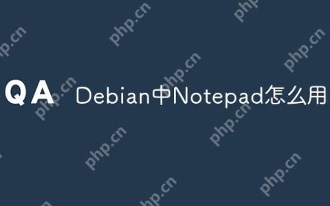 Debian中Notepad怎么用