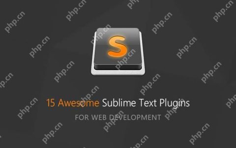 解决SublimeText搜索功能失效的常见原因