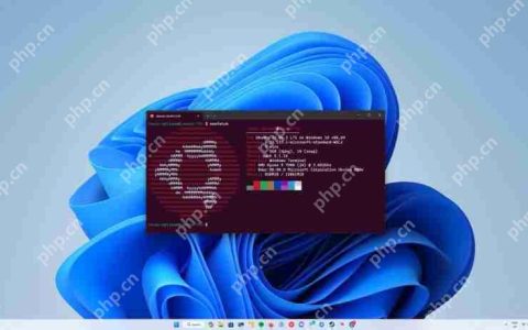 微软升级 Win11 Linux 子系统 ：图形界面下配置 WSL 子系统