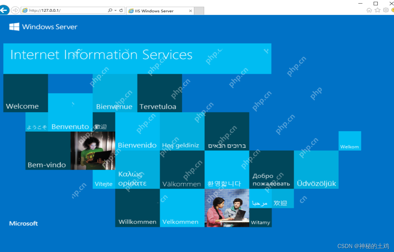 WIndows Server 2016 部署 Web服务（简单篇）