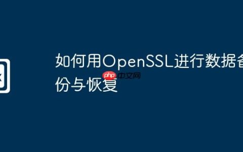 如何用OpenSSL进行数据备份与恢复