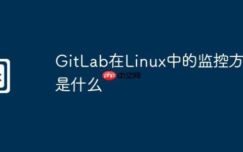 GitLab在Linux中的监控方法是什么