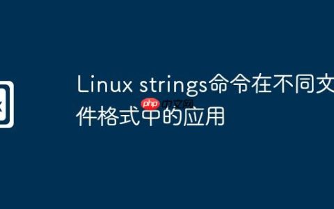Linux strings命令在不同文件格式中的应用