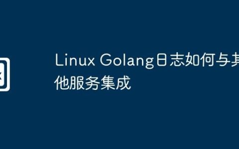 Linux Golang日志如何与其他服务集成
