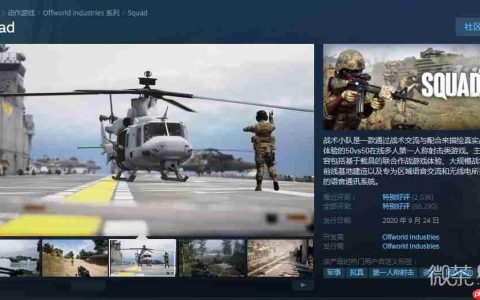 战术小队游戏售价详情-战术小队游戏售价一览