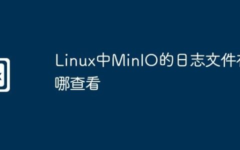 Linux中MinIO的日志文件在哪查看