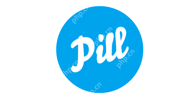 pilipili网站怎么进入_pilipili网页版直接进入 - 创想鸟
