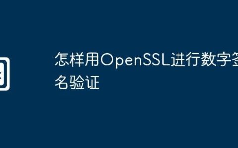 怎样用OpenSSL进行数字签名验证