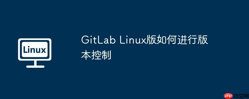 gitlab linux版如何进行版本控制