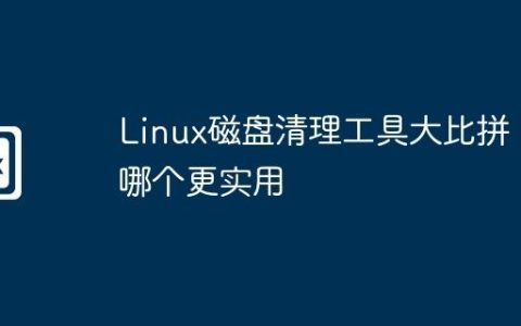 Linux磁盘清理工具大比拼：哪个更实用