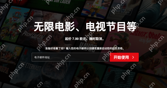 netflix在线观看网站 netflix电影在线观看网站入口 - 创想鸟