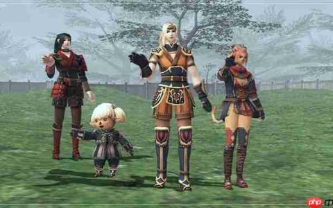 玩家分享祖母生前游玩《最终幻想11》经历 21年热爱不懈