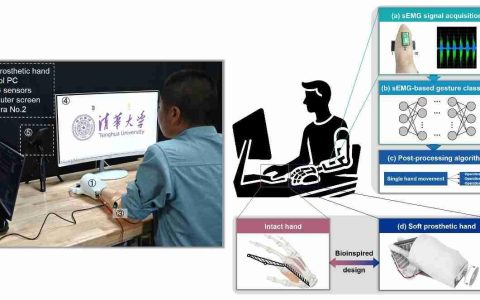清华大学李曙光课题组合作研发面向鼠标操作的软体灵巧假肢手