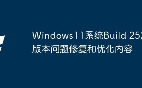 Windows11系统Build 25201版本问题修复和优化内容