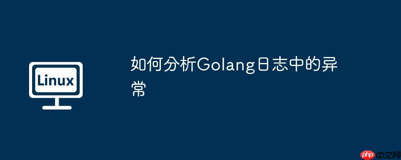 如何分析golang日志中的异常