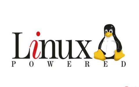 如何理解linux文件权限？linux中chmod命令怎么使用？