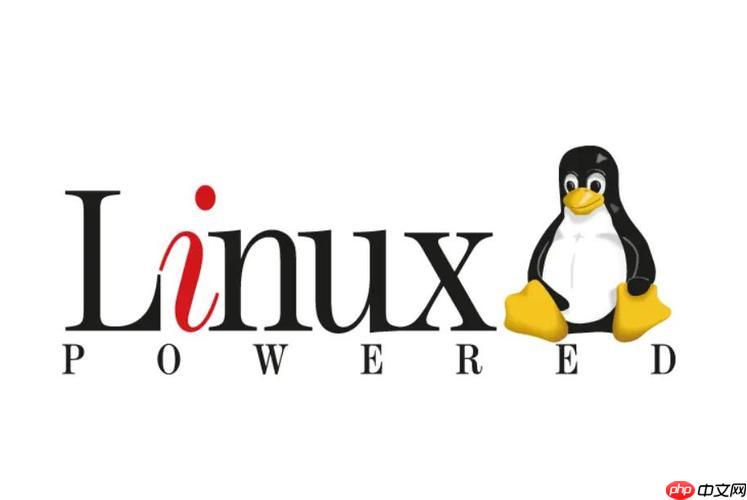 如何理解linux文件权限?linux中chmod命令怎么使用?