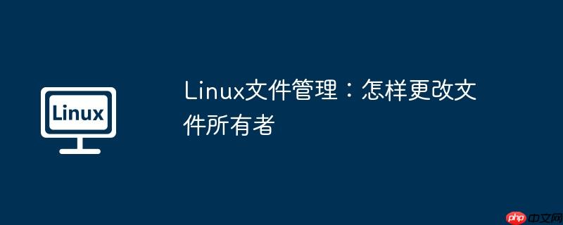 linux文件管理:怎样更改文件所有者