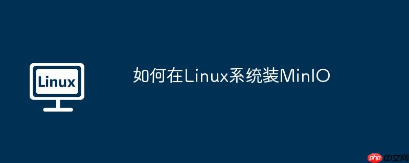 如何在Linux系统装MinIO