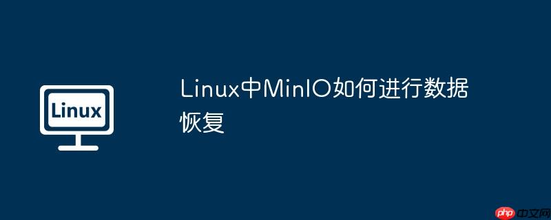linux中minio如何进行数据恢复