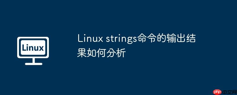 linux strings命令的输出结果如何分析