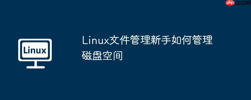 linux文件管理新手如何管理磁盘空间