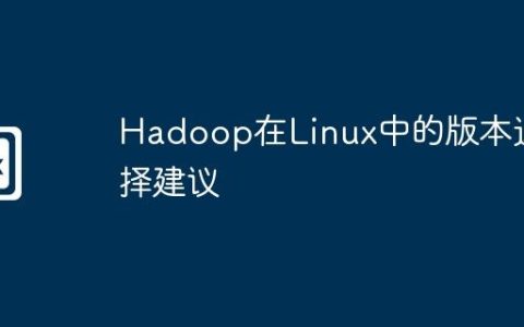 Hadoop在Linux中的版本选择建议