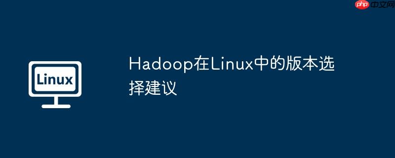 Hadoop在Linux中的版本选择建议