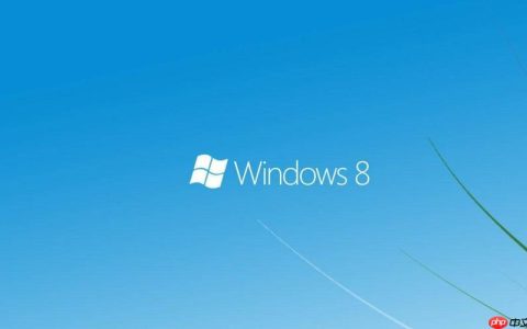 win8系统恢复后无法搜到网络 win8恢复后网络连接问题
