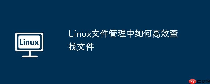 Linux文件管理中如何高效查找文件