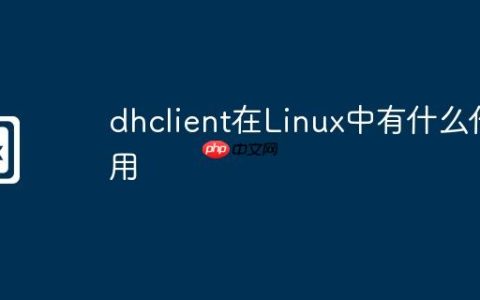 dhclient在Linux中有什么作用