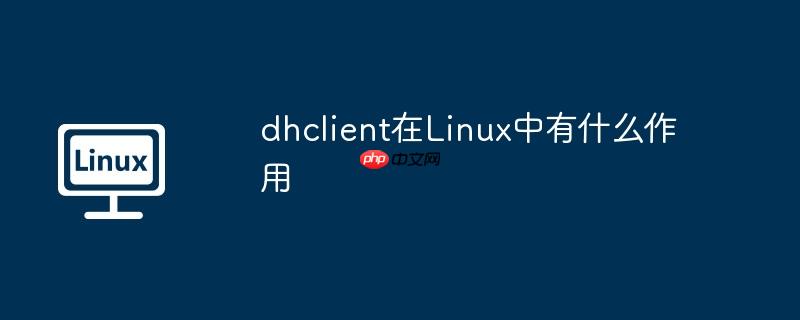 dhclient在linux中有什么作用
