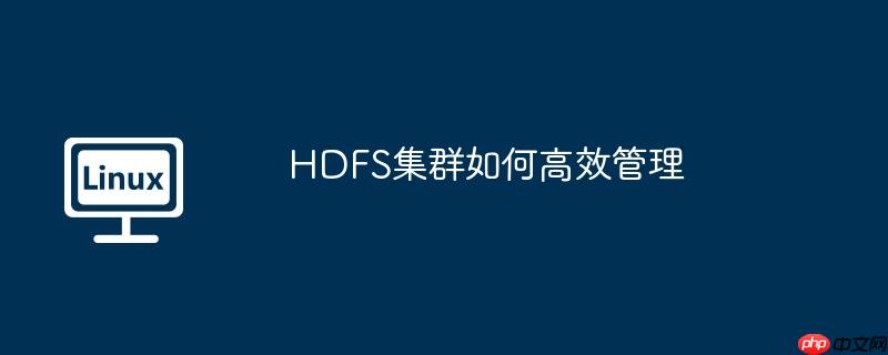hdfs集群如何高效管理