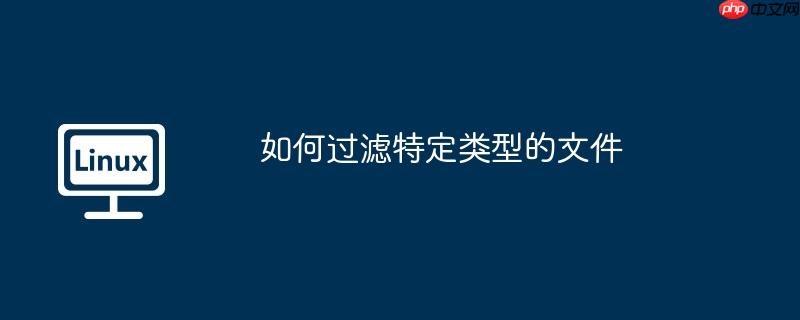 如何过滤特定类型的文件