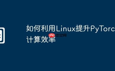 如何利用Linux提升PyTorch计算效率