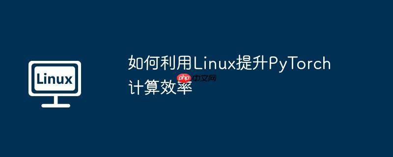 如何利用linux提升pytorch计算效率