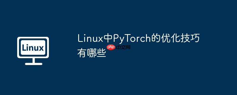 Linux中PyTorch的优化技巧有哪些