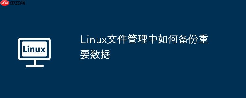 linux文件管理中如何备份重要数据